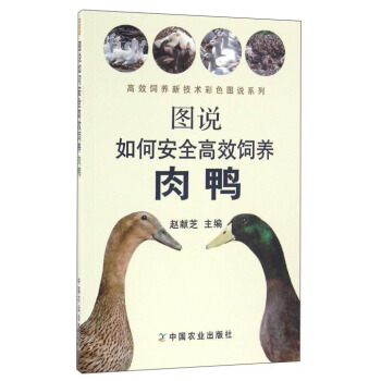 �D�f��ΰ�ȫ��Ч��B(y��ng)����