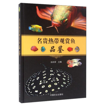 ���F�Ꭷ�^�p�~Ʒ�b