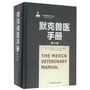 Ĭ�˫F�t(y��)�փ�(c��)  (��10��)