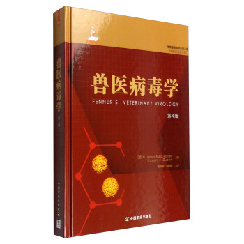 ��(sh��)�W(xu��)�n�̘�(bi��o)��(zh��n)�c�̌W(xu��)��(sh��)�`һ���ԡ�����Փ�о��c��(sh��)�`̽ӑ