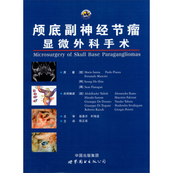 �B�׸���(j��ng)��(ji��)���@΢������g(sh��)