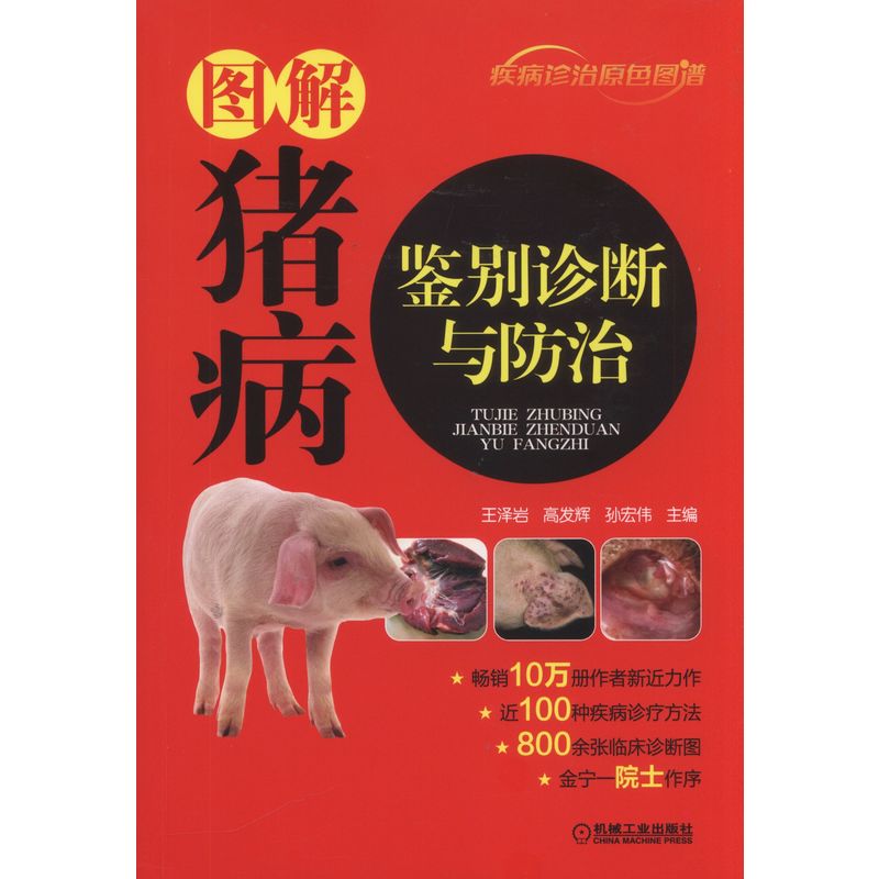 �D���i���b�e�\���c����