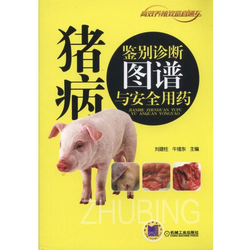 �i���b�e�\���D�V�c��ȫ��ˎ