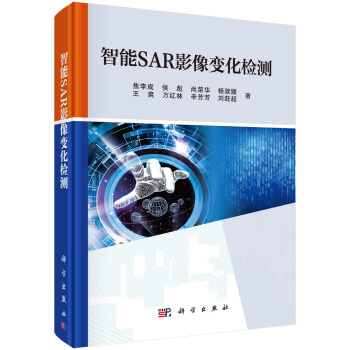 ����SARӰ��׃���z�y