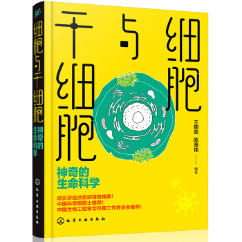 ��(x��)���c�ɼ�(x��)��