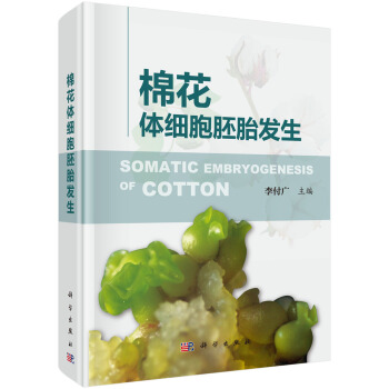 �޻��w������̥�l(f��)��