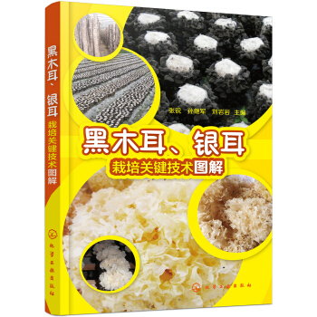 ��ľ�����y�������P(gu��n)�I���g(sh��)�D��