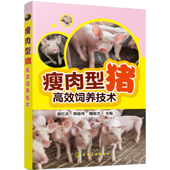 �������i��Ч��B(y��ng)���g(sh��)