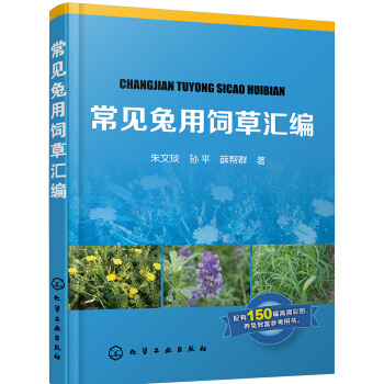 ��Ҋ����݅R��