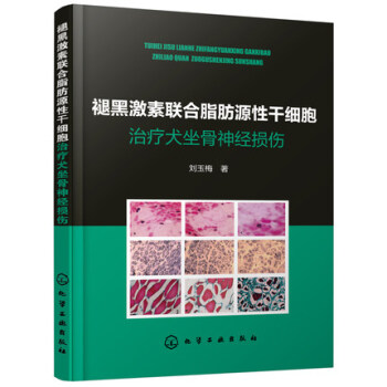 �ʺڼ���(li��n)��֬��Դ�Ըɼ����ί�Ȯ�����񽛓p��