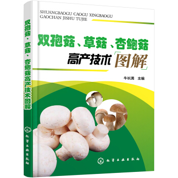 �p�߹����ݹ������U���߮a(ch��n)���g(sh��)�D��