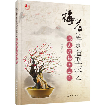 ÷���辰���ͼ�ˇ:�T����÷ʮ��ʽ