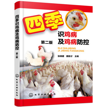 �ļ��R�u�����u�����أ��ڶ��棩