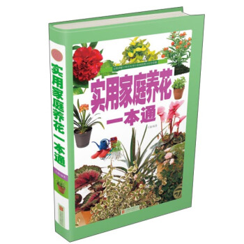 ���ü�ͥ�B(y��ng)��һ��ͨ