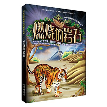 �������҄�(d��ng)��С�f��Ʒ���� ȼ���Ďrʯ