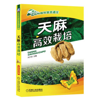 �����Ч����