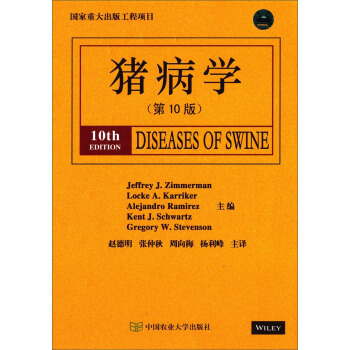 �i���W����10�棩