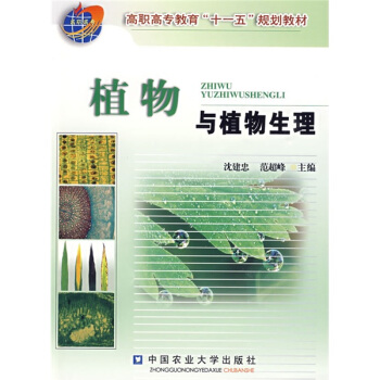 ֲ���cֲ������