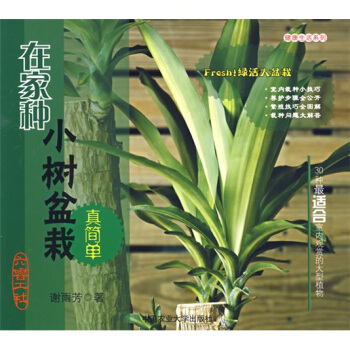 �ڼҷNС�������溆��