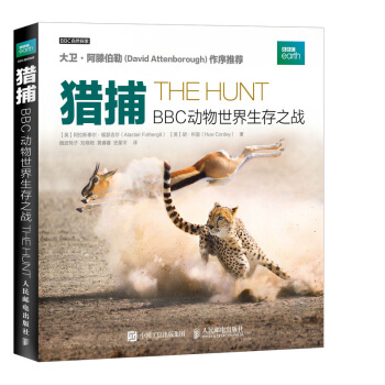 �C�� BBC��(d��ng)����������֮��(zh��n)