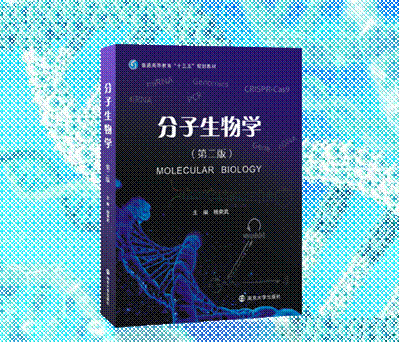 ��������W���ڶ��棩