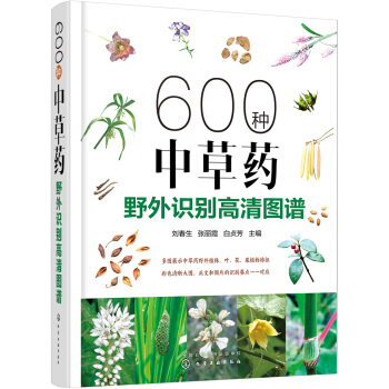 600�N�в�ˎҰ���R�e����D�V