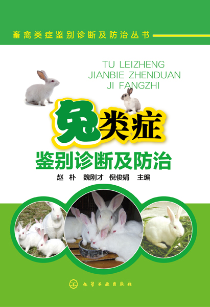 ��Y�b�e�\�༰����