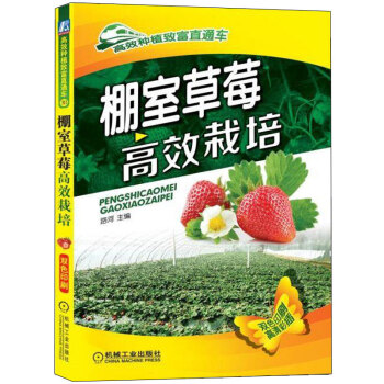 ���Ҳ�ݮ��Ч����