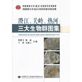 �ν����P(gu��n)�X�������������Ⱥ�D��