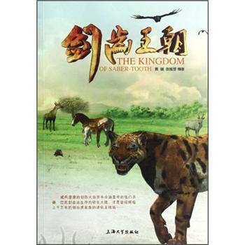 ���X����