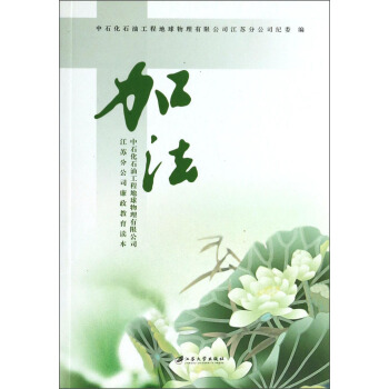 �ӷ�����ʯ��ʯ�͹��̵����������޹�˾���K�ֹ�˾���������x��