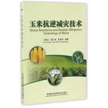 ���׿���p��(z��i)���g(sh��)