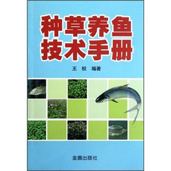 �N���B(y��ng)�~���g�փ�