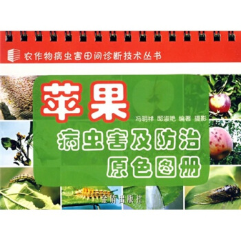 �O�����x��������ԭɫ�D��