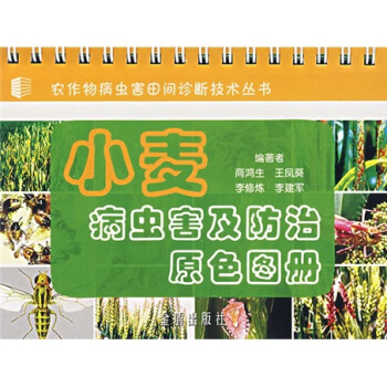 С�����x(ch��ng)��������ԭɫ�D��(c��)