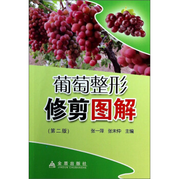 ���������޼�D�⡤�ڶ���