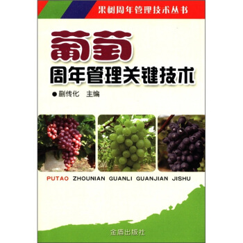 ������������P�I���g