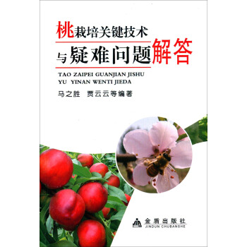 �������P(gu��n)�I���g(sh��)�c���y���}���