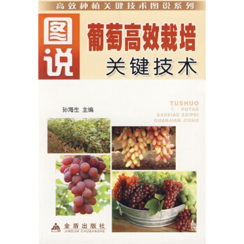 �D�f(shu��)���Ѹ�Ч�����P(gu��n)�I���g(sh��)