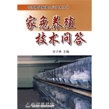 �����B(y��ng)ֳ���g����