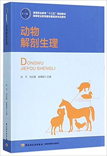 ��(d��ng)������������ߵ��I(y��)������ʮ���塱Ҏ(gu��)���̲ģ�