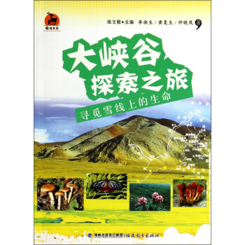 ��{��̽��֮��--��Ғѩ���ϵ�����<¹�Q��ϵ>