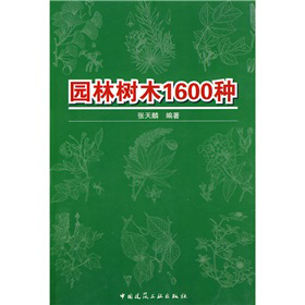 �@�֘�ľ1600�N