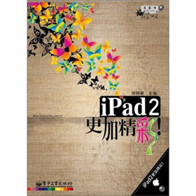 iPad 2���Ӿ��ʣ���ȫ�ʣ�