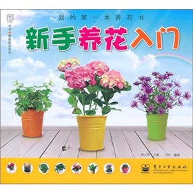 �ҵĵ�һ���B(y��ng)�����������B(y��ng)�����T��ȫ�ʣ�