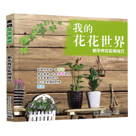 �ҵĻ������磺�����B(y��ng)�����ü���