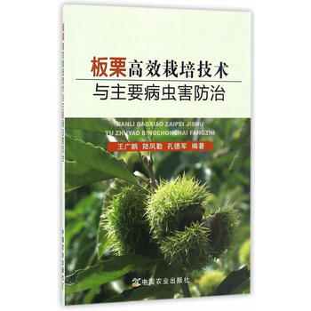 ������Ч���༼�g(sh��)�c��Ҫ���x������ 