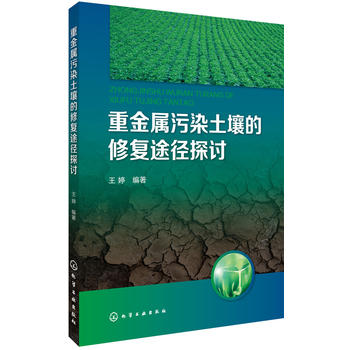 �ؽ�����Ⱦ�������ޏ�(f��);��̽ӑ