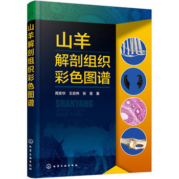 ɽ����ʽM����ɫ�D�V