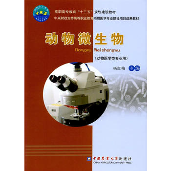 ����΢����